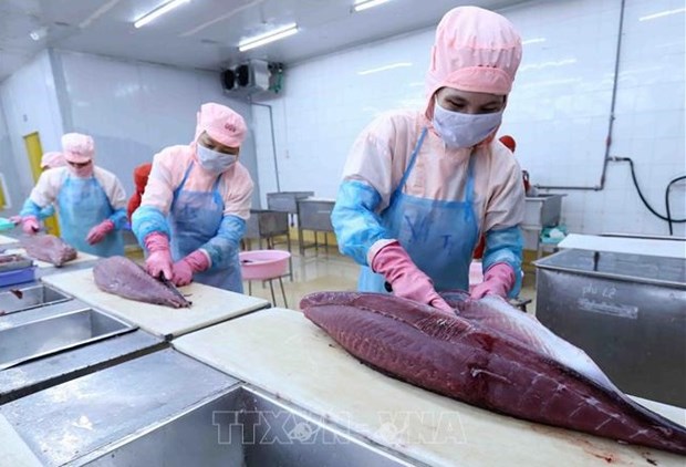 Vietnam’s tuna exports to EU see strong surge thanks to EVFTA